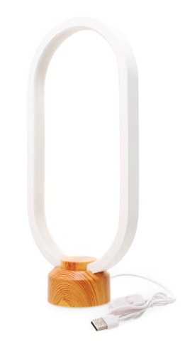LED Modern Style Oval Light