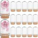 CRASPIRE 15Pcs Glass Cloche Dome with Cork Base 1.75Inch Mini Display Bell Jar Bottles Stand Cover Clear Decorative Case Figurine for Craft Small Figurine Flower Wedding Christmas Party Favors