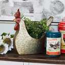 Deco 79 Metal Rooster Indoor Outdoor Planter Large Planter Pot, Planter 12" x 8" x 16", Gray
