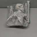 Skeleton Halloween Decor,3Ft Life Size Skeleton Full Body Plastic Human Bones for Halloween Decoration (Gray)