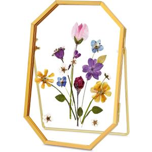 Glass Pressed Flower Frame Handmade, Metal Floating Picture Frame, Double Glass Frame for Pressed Flowers Tabletop Display Unique Brass Frame, Octagon, Gold, 4x6 inches (FRAME ONLY) (4L" x 6W")