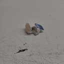 Yankee Candle ScentPlug Diffuser, Seashell, 1 CT
