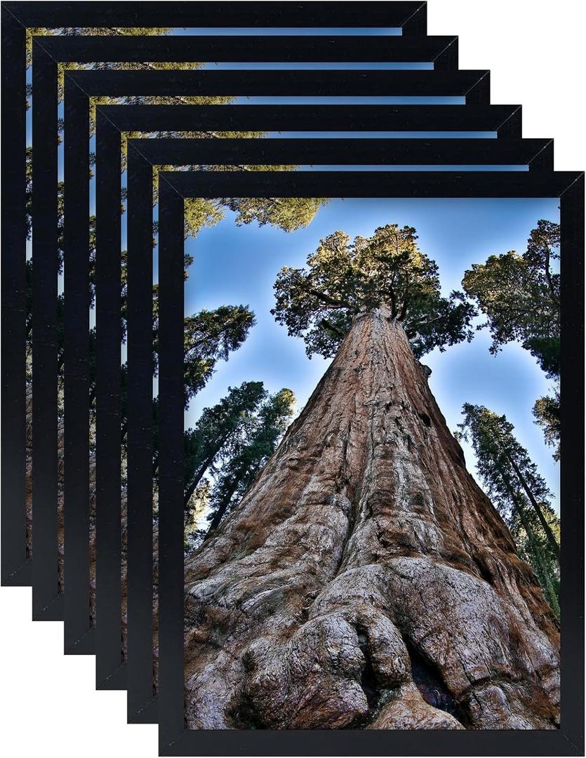 8x12 Picture Frame Black Photo Frames Display for Wall and Tabletop, Set of 6