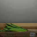 Artificial Plants, 5 Ft Dracaena Tree Faux Plants Indoor Outdoor Decor Fake Tree with Woven Seagrass Basket Plants for Home Decor Office Living Room Porch Patio Housewarming