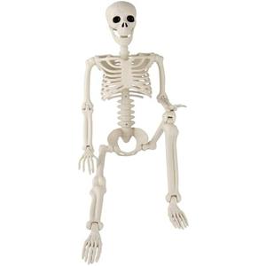36" Halloween Skeleton, 3 ft Human Skeleton Full Body Posable Joints Plastic Skeleton for Halloween Decoration, Yard Patio Lawn Garden Skeleton Spooky Party Decoration Indoor Outdoor