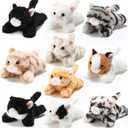 Lenwen 10 Pcs Cat Stuffed Animals Bulk Soft Cuddly Kitten Plush Sets Smitten Kittens Assorted Fluffy Stuffed Cats for Kiddos Birthday Gift Pet Party Favors Goodie Bags Stuffers(Prone Style)