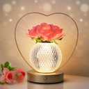 AMWGIMI Rose Flower Lamp, Birthday Gifts for Women, Rechargeable Cordless LED Touch Lamps,3-Colour Infinitely Dimming Small Night Light, for Living Room, Dining Room, Bedroom Festival Home Decor
