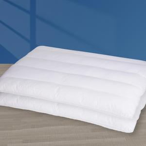 MINUPWELL 2 Packs Ultra Flat Pillows for Sleeping Thin, 7D High Support 2.5 inch Height Ultra Thin Pillows,Slim Bed Pillows for Stomach Sleeper,Queen Size -18x30 in (White)