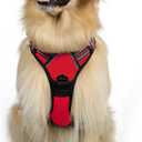 rabbitgoo Dog Harness No Pull with 2 Leash Clips, Adjustable Soft Padded, Reflective Oxford No Choke Pet Vest with Easy Control Handle for Large Dogs, Black & Red, M