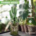 vomiceak Face Planter - Unique Old Man Tree Face Planters for Outdoor Indoor Plants with Drainage Hole, Funny Plant Pots for Succulents - Creative Flower Pots as Gifts for Women and Men (Green Man)