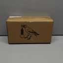 Crow Lamp - Raven Lamp Adjustable Brightness with BulbBird lampCrow Light Gothic Halloween Decor for Bedside Bedroom Living Room Decor