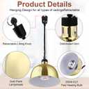 Nuanchu 2 Pack Hanging Food Heat Lamp Retractable with 250w Heating Bulb Commercial Infrared Food Service Warmer Fry Heating Light for Buffet Restaurant Kitchen Use (Gold,Dia 29cm)