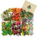 90PCS Leaf PET Stickers Botanical Designs from Tropical Green to Autumn Maple, Waterproof Die-Cut Peel and Stick for Scrapbook Journal Collage Planner