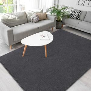 Soft Rugs for Living Room 5x7 Dark Grey, Minimalist Area Rug for Bedroom Nursery Dining Table Dorm, Throw Rugs for Men Boys Girls Kids Room Indoor Floor Carpets