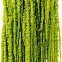 Silva Loup 12pcs Natural Dried Wisteria Hanging Flowers, 30" Preserved Amaranthus Cascading Vines, Real Dried Floral Stems for Wedding Arch, Bouquet, Wall Decor & Boho Home Decor