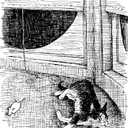 Elephi: The Cat with the High IQ
