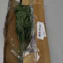 Watayo 45 Pcs Christmas Artificial Pine Branches with Red Berry Stems, 10.5" Faux Evergreen Norfolk Pine Cypress Leaves Stems, Fake Foliage Pine Needles Picks for DIY Craft Garland Home Decor