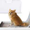 KindTail Pee PAWD - Holds Standard 24" x 24" Potty Pads - Leakproof Tray with Non-Slip Bottom, 1.5" Raised Edge & Modular Side Panel - Easy-to-Clean Plastic - Foldable Design - Handle for Travel (White)