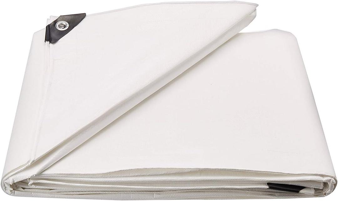 Dry Top 320206 20-by-20-Foot Full Finish Size Tarp, 10-mm (White)