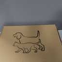 Petskd Top and Side Expandable Pet Carrier 17x12x8.5 Inches JetBlue Frontier Spirit Airline Approved, Soft-Sided Carrier for Small Cats and Dogs with Locking Safety Zipper and Anti-Scratch Mesh(Black)