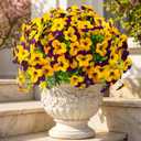 32 Pcs Artificial Pansy Flowers for Outdoor Faux Silk Spring Flowers for Outside, UV Resistant Realistic Pansies for Window Box, Planter, Front Door, Porch and Garden Home Decor (32, Purple,Yellow)