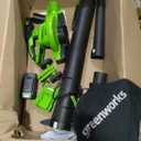 Greenworks 48V (24V x 2) 520CFM Leaf Blower/Vacuum, (2) 4.0 Ah Batteries
