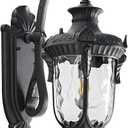 Outdoor Wall Lights, Waterproof Aluminum Porch Wall Light for Outside House, Patio, Yard, Garden, Black Gooseneck Exterior Wall Sconce, Hardwired Outdoor Acorn Shape Lantern Lamp, Water Ripple Glass (1 Pack, Regular)