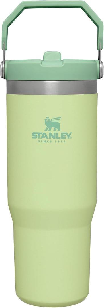Stanley IceFlow Stainless Steel Tumbler with Straw - Vacuum Insulated Water Bottle for Home, Office or Car - Reusable Cup, Leakproof Flip -Cold for 12 Hours or Iced for 2 Days (Citron), 30oz