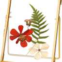 Glass Pressed Flower Frame Handmade, Floating Picture Frames for Pressed Flowers, Tabletop Artwork Photo Frames, Brass Desk Picture Frame for Home Office Plant Specimen, Gold, 4x6 Inches (4L" x 6W")