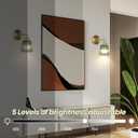 Battery Operated Wall Sconce,Vintage Battery Wall Light with Remote Dimmable Wireless Wall Sconces with Glass Lampshade Rechargeable, Led Wall Lamp Fixtures for Bedroom, Living Room (Stripe Green)