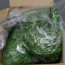 Geosar 20 Pcs Artificial Hanging Plants 32 Inch Hanging Boston Ferns Plastic Fake Plants for Wall Room Garden Wedding Garland Indoor Outdoor Decoration, No Basket