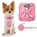 PINA No Pull Dog Harness - Breathable Mesh, Lightweight & Adjustable for Small & Medium Dogs - Easy On/ Off