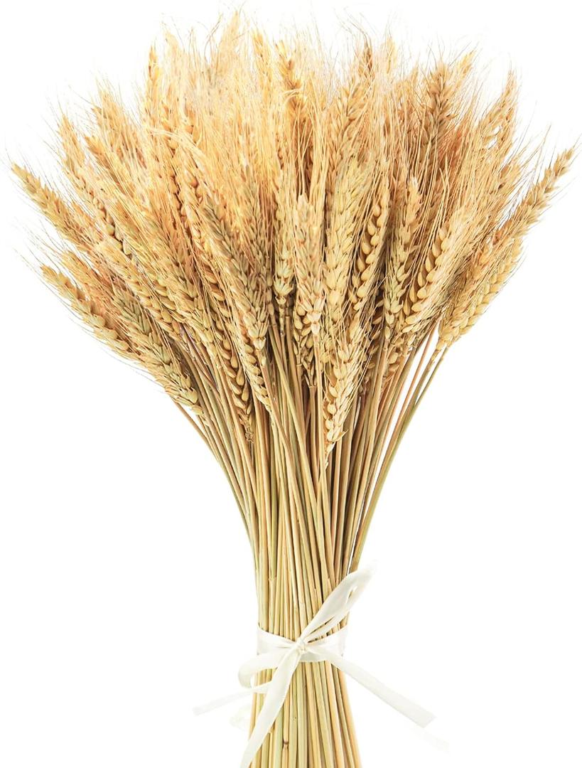 Uieke 17.7 Inches Dried Wheat Stalks, 100 Stems Dried Flowers 100% Natural Wheat for Home Kitchen Wedding Party Table Centerpiece Harvest Wreath Boho Farmhouse DIY Decoration