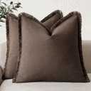 Foindtower Set of 2 Decorative Linen Fringe Throw Pillow Covers Boho Farmhouse Cushion Cover with Tassels Soft Accent Pillowcase for Couch Sofa Bed Living Room Home Decor,2020 Inch,Reddish Brown