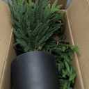 Artificial Norfolk Pine Christmas Tree - 3Ft Realistic Faux Christmas Tree for Home Indoor Outdoor Christmas Decorations