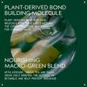 Aveda Botanical Repair Intensive Strengthening Masque Light | Bond-Building Hair Mask for Stronger Hair | Deep Conditioner | Detangles, Softens Fine to Medium Hair | 98% Naturally Derived*