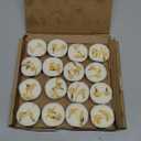 Jasmine Scented Tealight Candles 16 Pack - 4-Hour Palm Wax White Tea Lights, Plant Dried Flower Scented Tea Candle (Paraffin-Free), Votive Candles for Home/Yoga/Bath/Meditation