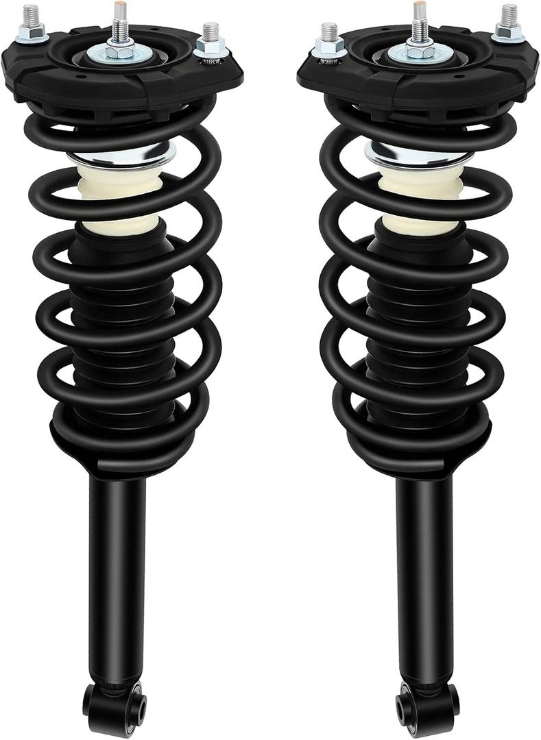 ECCPP Complete Struts Spring Assembly Rear Struts Shock Absorber Fit for 2000 2001 for Infiniti I30,2002 2003 2004 for Infiniti I35,2000 2002 2003 for Nissan Maxima
