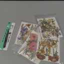 Nuanchu Dried Flower for Crafts Resin Pressed Flowers Bulk Dried Wildflowers Leave Natural with Tweezer for Resin Mold Scrapbooking Nail Soap Candle Making Cake Decorating DIY Christmas Craft Supplies (multi Color)