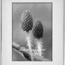 MIMOSA MOMENTS 5x7 Photo Frame with Mat, 7x9 Metal Shadow Box Frame (Silver), Tabletop Display Picture Frame, Thin Metal Border, Perfect for Home Decor, Wedding & Family Photos