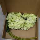 BLEUM CADE 4 Pcs Green Hydrangea Artificial Flowers with Stems, 18In Large Fake Green Flowers, Faux Hydrangea Flower for Home Decor Spring Wedding Table Centerpieces Decoration