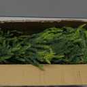 3FT Christmas Artificial Norfolk Pine Tree, Faux Potted Plants for Front Porch Christmas Indoor Outdoor Decor