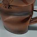 1 Gallon Metal Watering Can with Removable Spout, Nice Galvanized Steel Water Can with Embossed Design for Indoor and Outdoor Plants (Bronze)