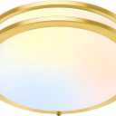 13 Inch LED Flush Mount Ceiling Light, Gold Kitchen Light Fixture with 2700K/3000K/4000K/5000K/6500K 5 Color Adjusted, Dimmable Modern Round LED Light for Bedroom Bathroom Living Room Laundry, 1-Pack