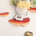 Red Mushroom Shelves Decoration - 5PCS Floating Display Goblincore Shelves, Small Wall Shelf for Bedroom, Cottagecore Aesthetic Furniture, Forest Decor, Reptile, Leopard Gecko Tank Accessories