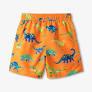 Boys Colourblock Dino Swim Shorts Size 10/12