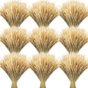 Geosar 400 Stems Dried Wheat Stalks for Decor Natural Wheat Grass Sheaves Bundle Farmhouse Artificial Flowers Arrangement for DIY Wedding Table Home Centerpieces Party Decorative (16.2 Inch)