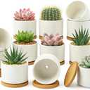 ZOUTOG 12 Pack Ceramic Succulent Pots,3.6 Inch Plant Pots,Succulent Planters with Drainage Hole & Bamboo Tray for Indoor Plants,White Small Flower Planters for Home,Office,Desk