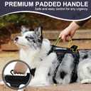 Escape Proof Dog Harness for Large Medium Sized Dogs Six Point Adjustable, Service Dog Vest Harness and Leash Set, No Pull Dogs Harnesses with Handle, Dog Harnesses for Walking(Black, M)