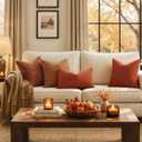 MIULEE Fall Decorative Orange Couch Throw Pillow Covers 20x20 Inch 2 Pack | Modern Boho Accent, Soft Chenille Pillow Covers, Farmhouse Cushion Cases for Home Decor Bed Sofa Living Room